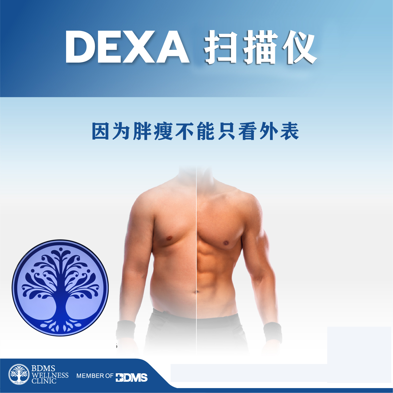 Dexa Scan